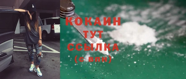 дмт Арсеньев