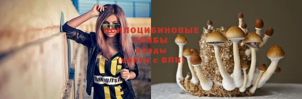 бутират Гусиноозёрск
