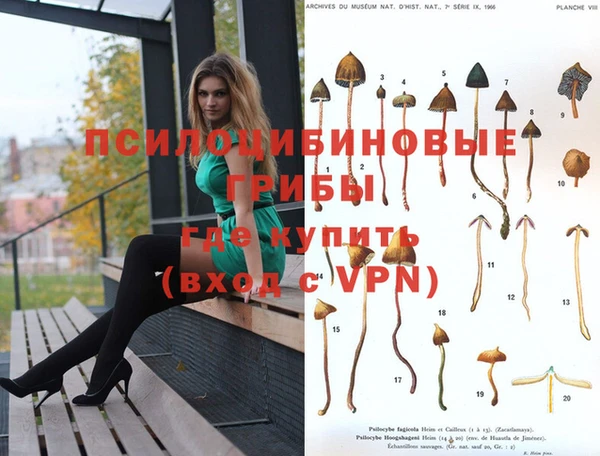 MDMA Premium VHQ Аркадак