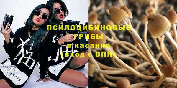 дмт Арсеньев