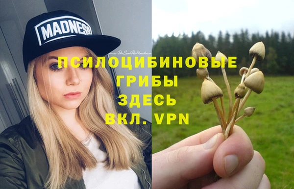меф Армянск