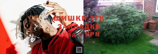 дмт Арсеньев