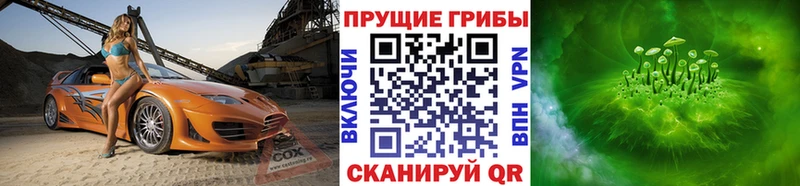 МЕГА ссылка  Оленегорск  Псилоцибиновые грибы мицелий  как найти наркотики 